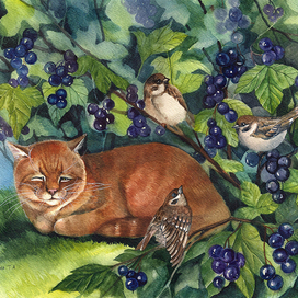 Кто мешает Ваське спать