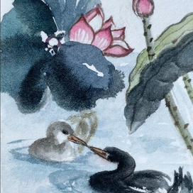 Открытка Суми-e