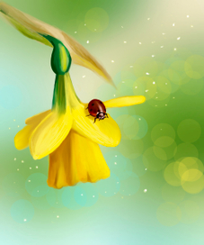 Цифровая иллюстрация