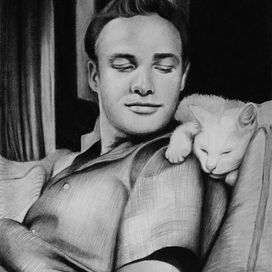 Брандо и кот