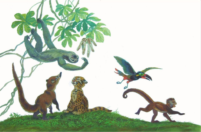 Коати и Жагуатирика (фронтиспис, титул)