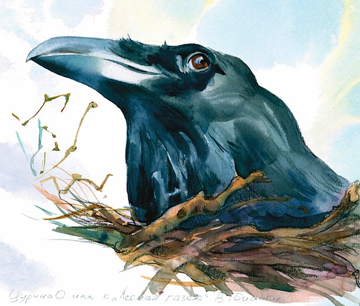 Первое яйцо