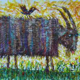 козёл и птаха