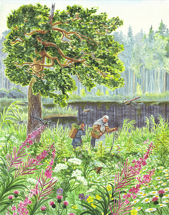 Волшебная сила земли.