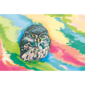 Воробьиный сычик