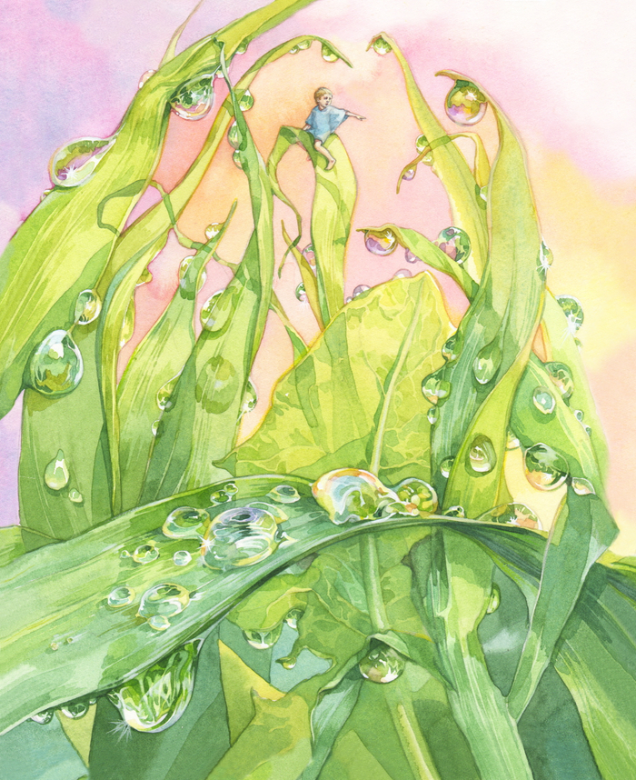 Капли росы...