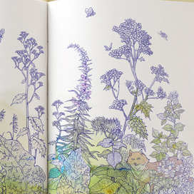 иллюстрация к детской книге