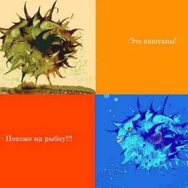 Замечательные Каштаны