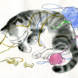 Пижон забавляется