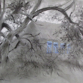 "Хроники умирающей деревни" Яблоня-ветеран.