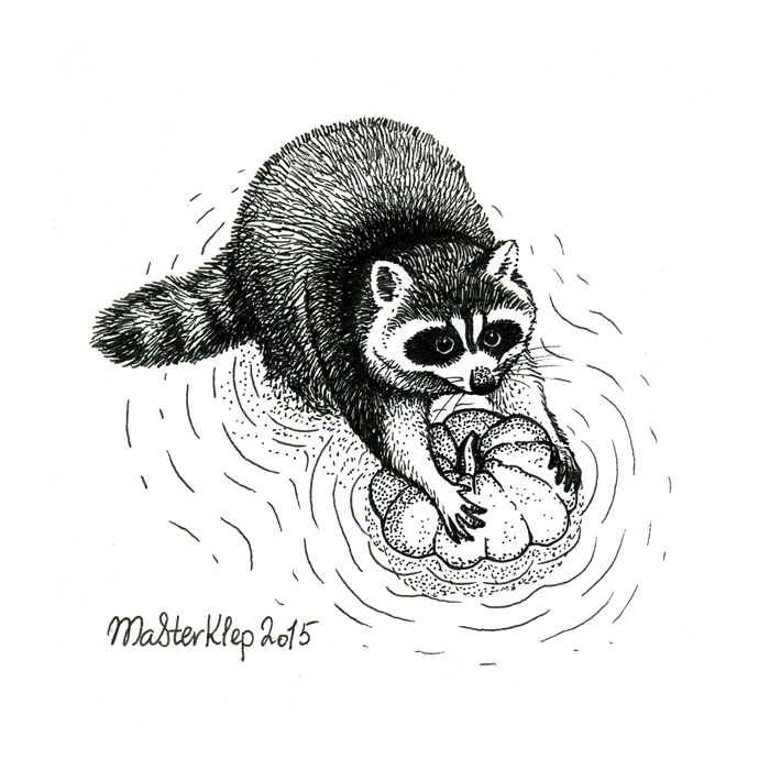 Енот и Тыква