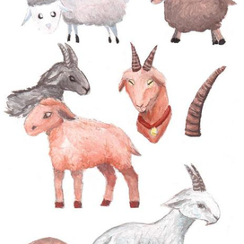 Разработка барашки и козы к сказке.