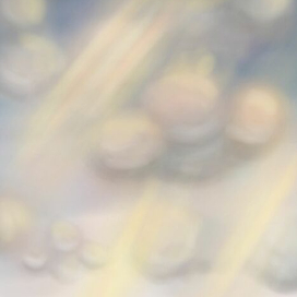 первые лучи