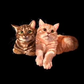 Cats (print)