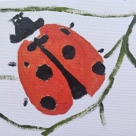 Божия коровка