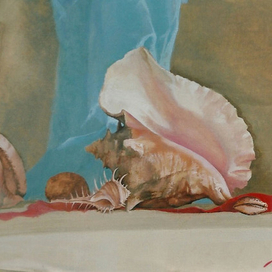 Натюрморт с раковинами