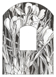 Оборочная иллюстрация"Крокусы"