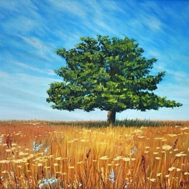 Иллюзия одиночества 