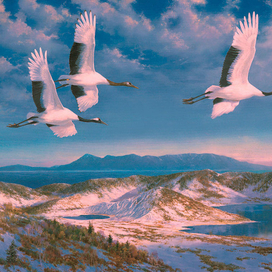 Прощальный круг