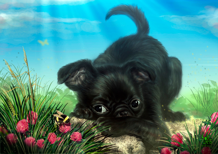 Охота ...На ШМЕЛЯ !!! )))