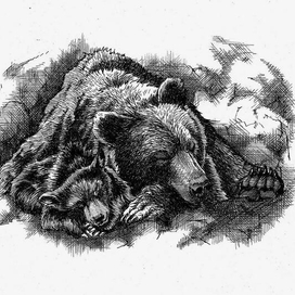 ГРИЗЛИ. Финал