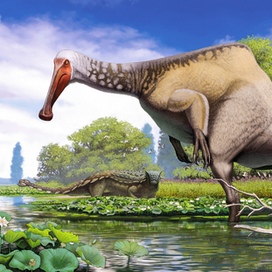 Deinocheirus