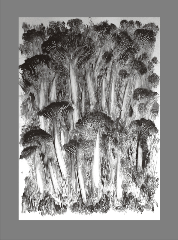 Северный склон