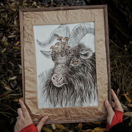 Грибной козёл