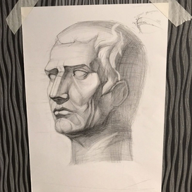 Академическая голова Августа