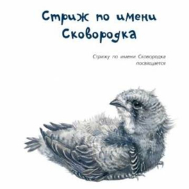 Стриж Сковородка