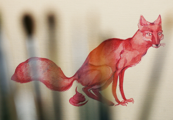 Розовая лисица