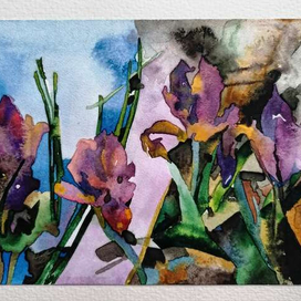 Irises