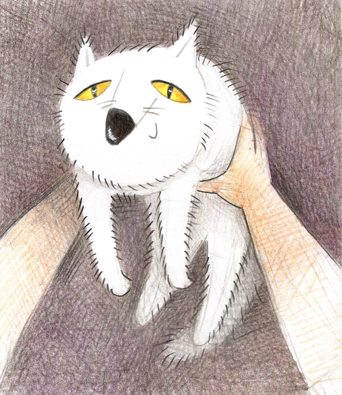 Сил этому котику!