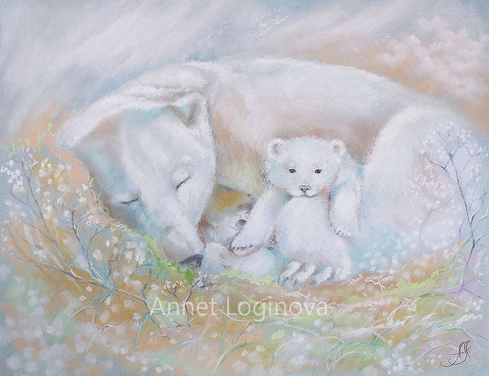 Там, где спят медведи 