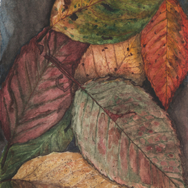 Осенние листья