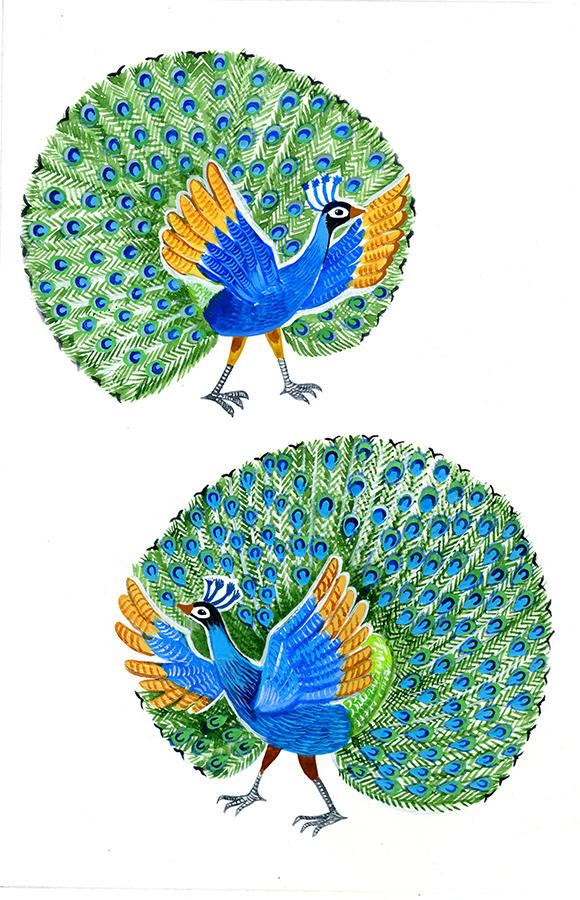 Два павлина