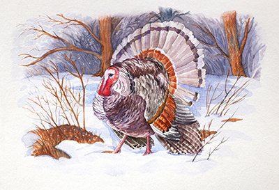 «Индюк в зимнем лесу»