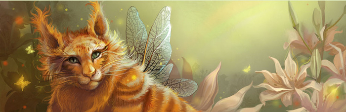 Волшебный кот