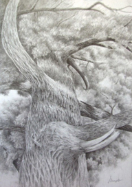 Дерево БИВЕНЬ )