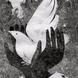 Лети, моя голубка