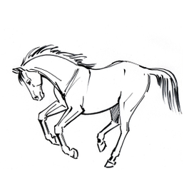 Набросок лошади