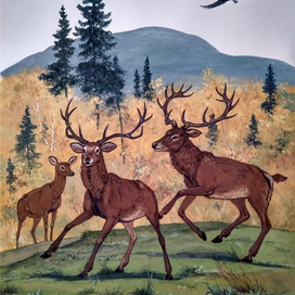 Олени (илл. к Лесной Азбуке 1 том)