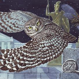 Горячий Афинский парень.