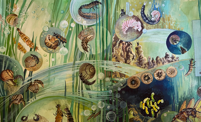 Букашки ночные 