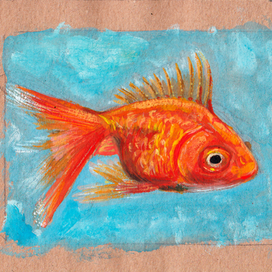 Золотая рыбка