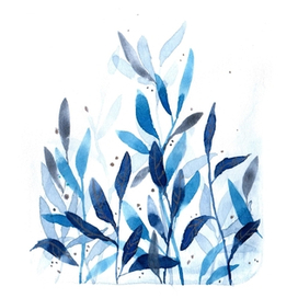 Морозный иней