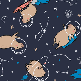 Космические капибарки