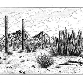 Пустыня в Аризоне