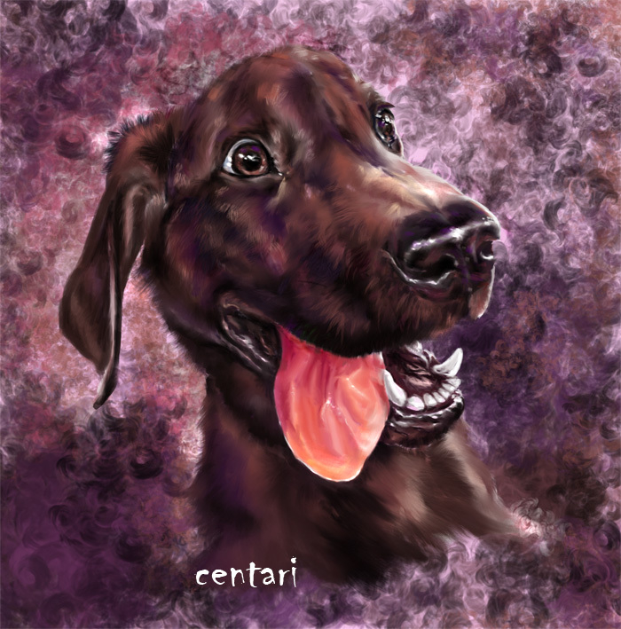 шоколадный восторг!