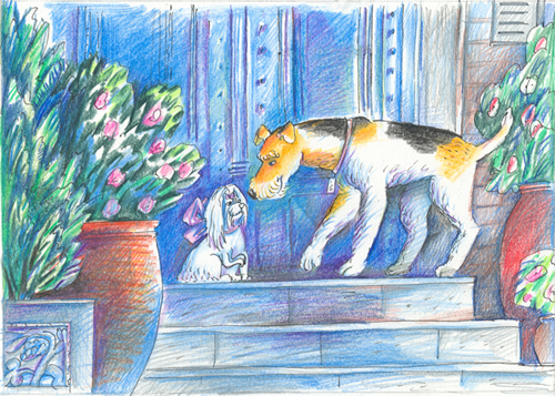 фокс и баллонка